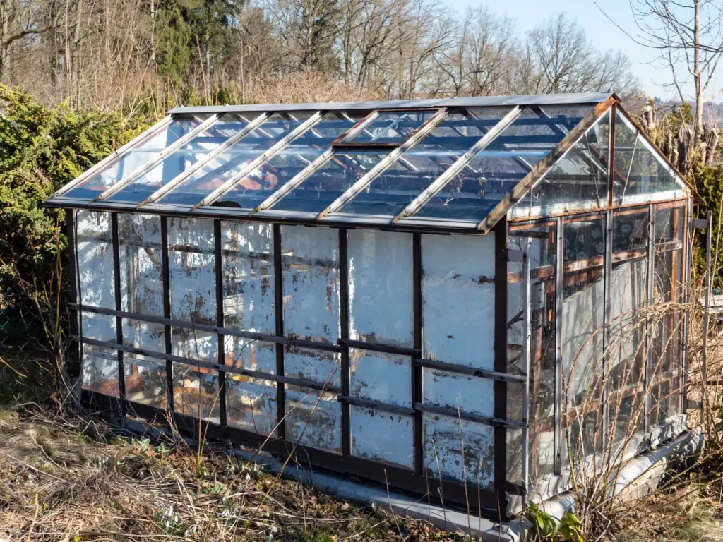 Altes Gew&auml;chshaus mit blinden Scheiben in einem verwilderten Garten.